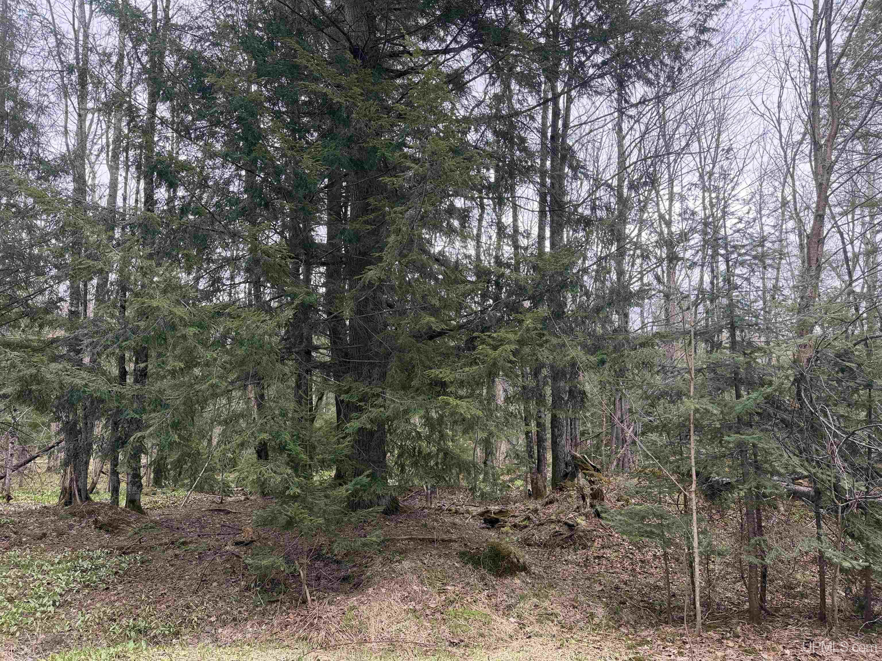Tbd Lake Road Ironwood, MI 49938 - Photo 9 of 31