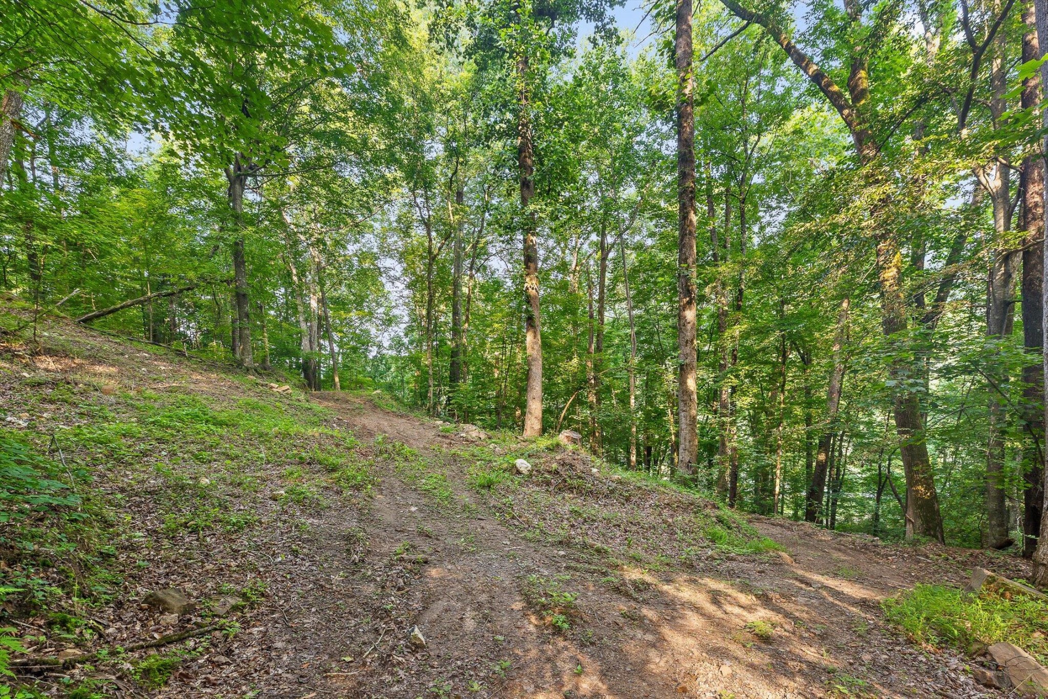 1311 Massengale Point Road Chattanooga, TN 37419 - Photo 28 of 31 Gallery Image 28