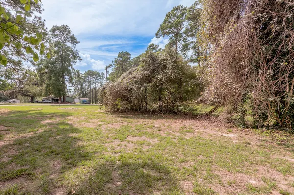 $9,900 | 365 Pinemont Drive, Point Blank, TX 77364