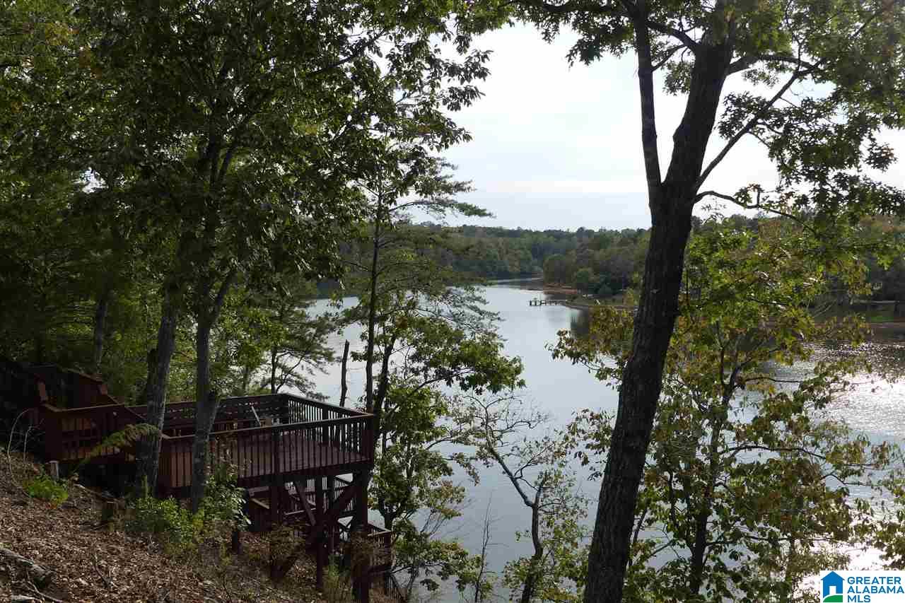 251 Pleasure Point Road Wedowee, AL 36278 - Photo 1 of 31
