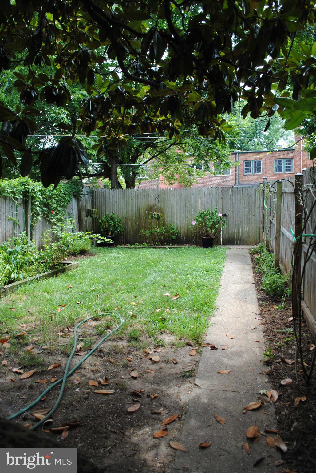 4442 Reservoir Road Northwest Washington, DC 20007 - Photo 22 of 23 Exterior (Rear)