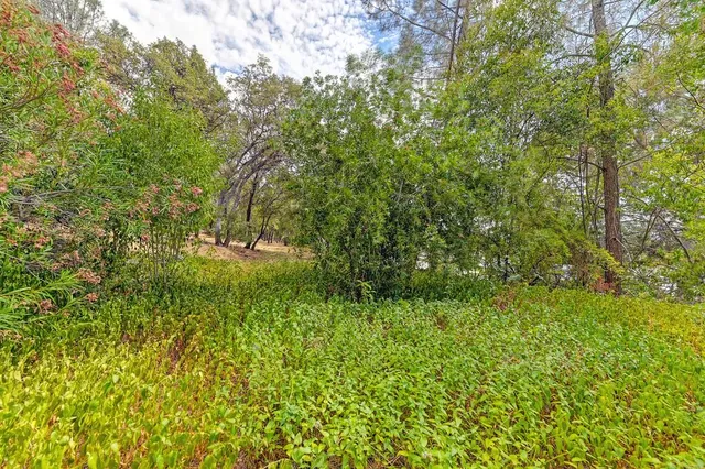 a view of a road with a trees