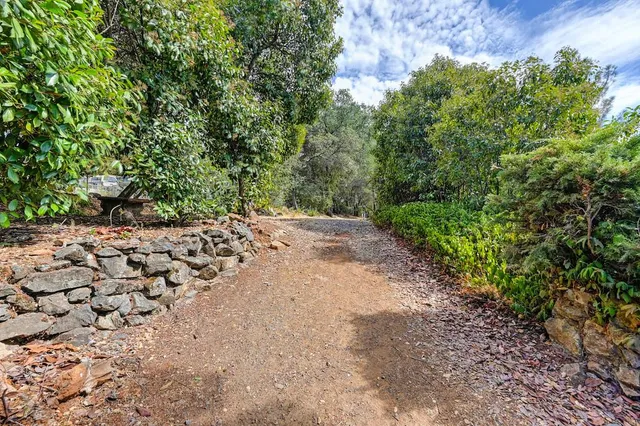 a big yard with lots of green space and deers