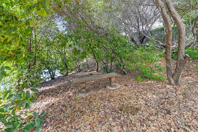 a view of a dirt road with trees in the background