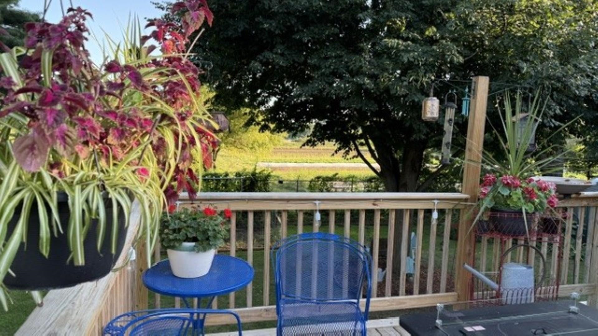 7 Sebring Road South Burlington, VT 05403 - Photo 9 of 25 Gallery Image 9