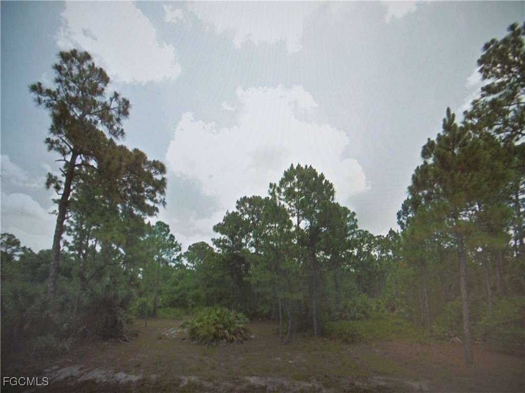 655 South Trebol Street Clewiston, FL 33440 - Photo 2 of 2 a view of a city with lush green forest