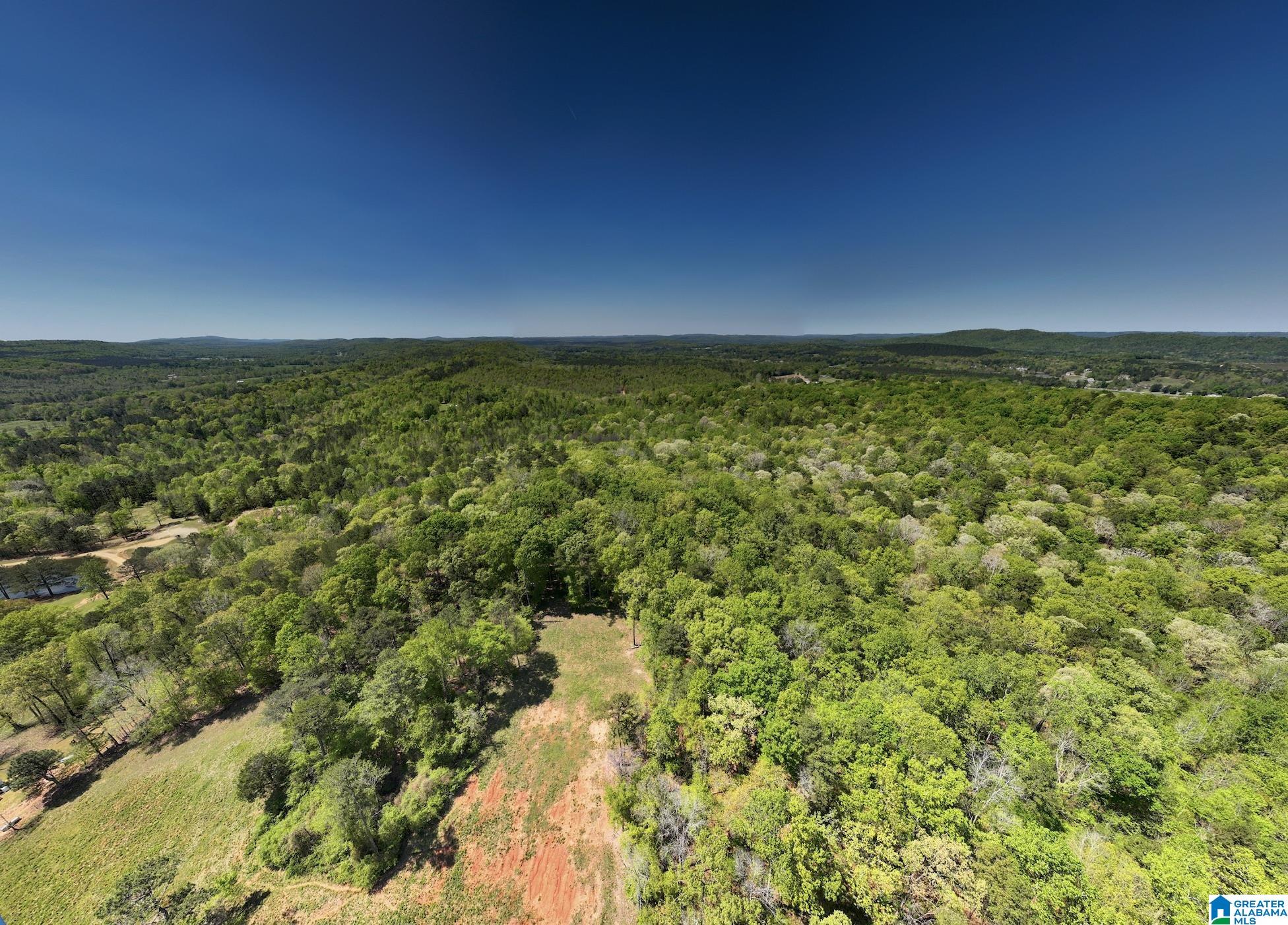 0 Pike Hill Road Ashville, AL 35953 - Photo 17 of 22