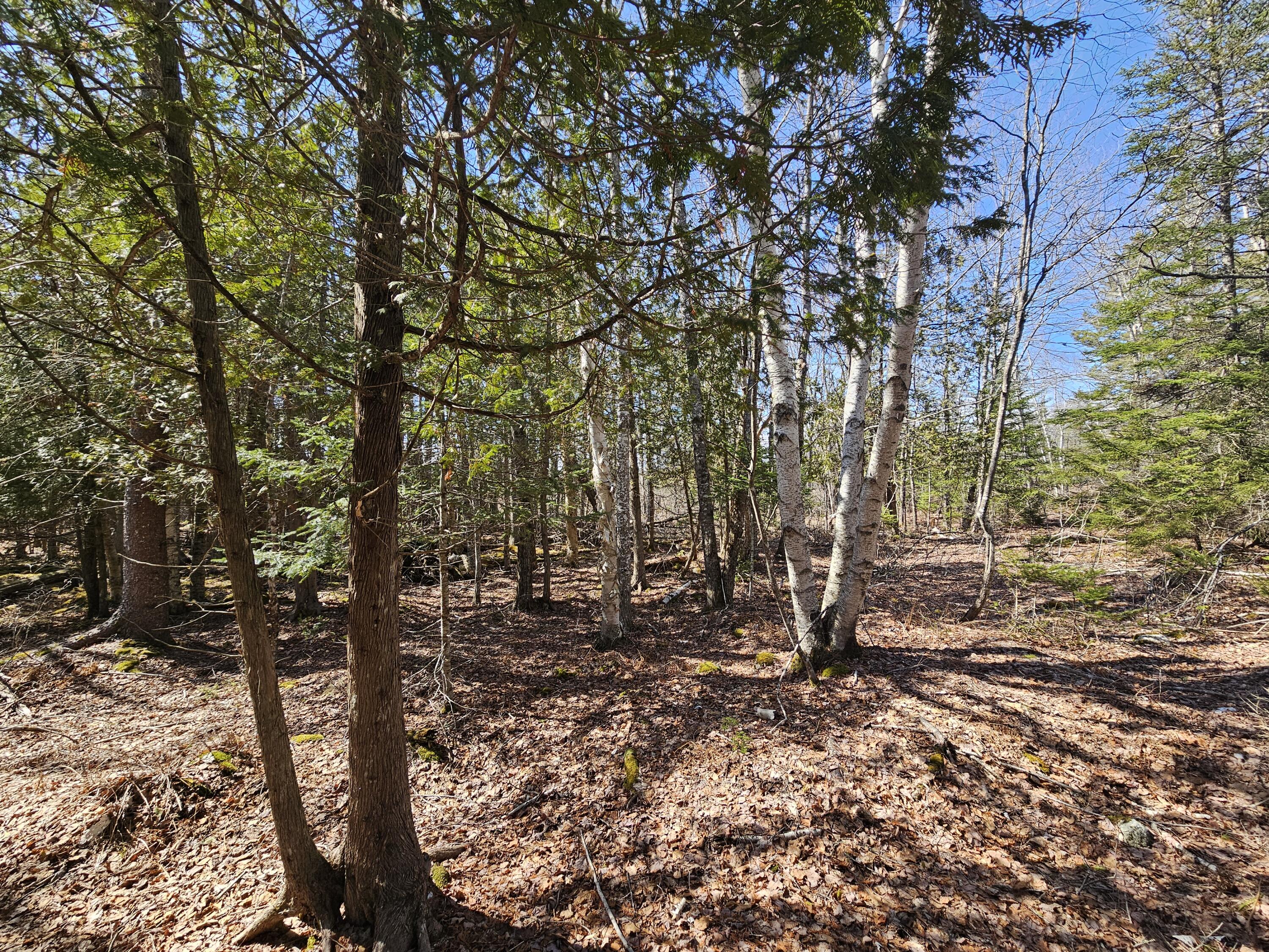 83 Willey District Road Harrington, ME 04643 - Photo 6 of 66 20260414_143515