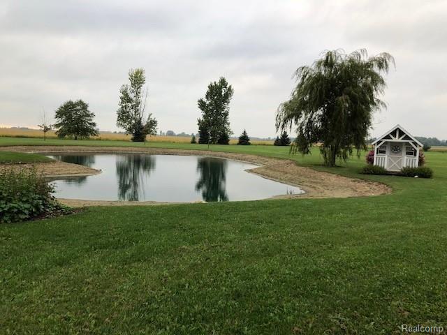 2830 Hull Road Marlette, MI 48453 - Photo 17 of 21 pond with shed.jpg