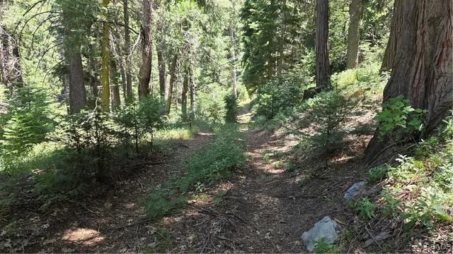$4,990 | 987 Deer Run Road, Cedarpines Park, CA 92322