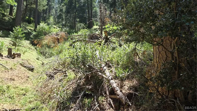 $4,990 | 987 Deer Run Road, Cedarpines Park, CA 92322