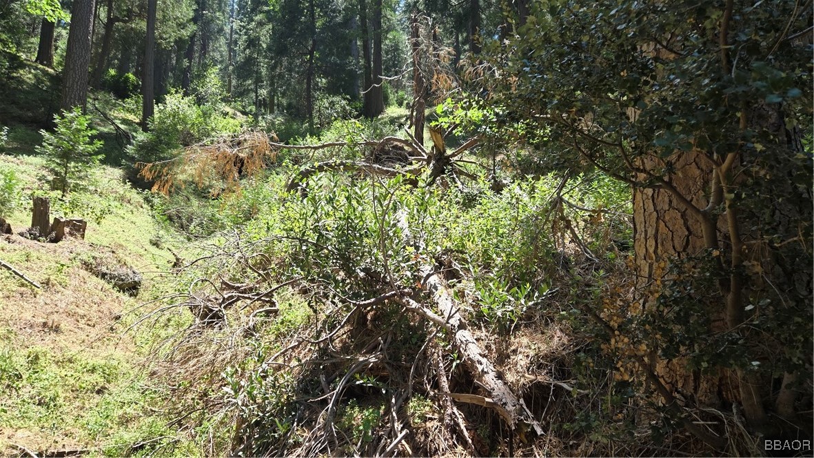 987 Deer Run Road Cedarpines Park, CA 92322 - Photo 6 of 14