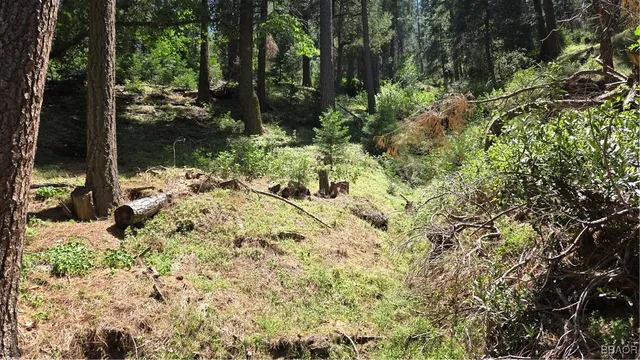 $4,990 | 987 Deer Run Road, Cedarpines Park, CA 92322