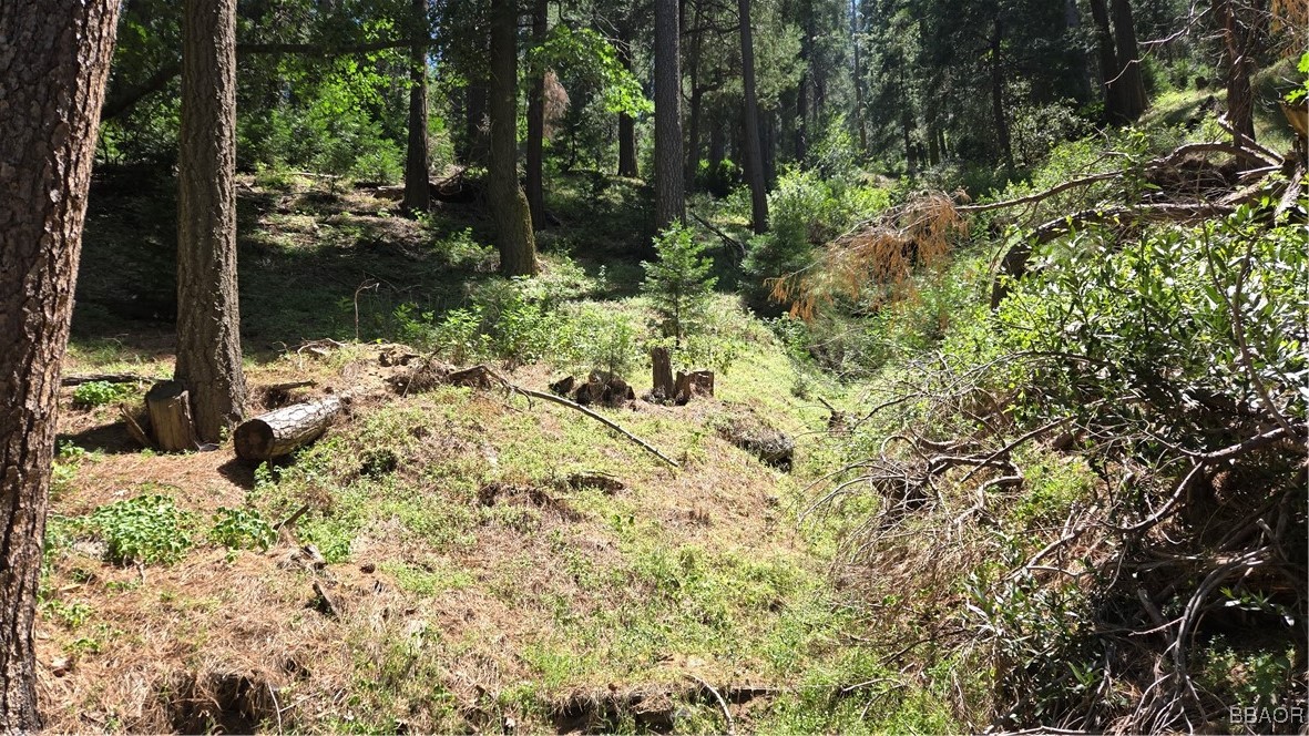 987 Deer Run Road Cedarpines Park, CA 92322 - Photo 7 of 14