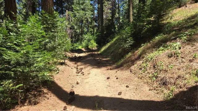 $4,990 | 987 Deer Run Road, Cedarpines Park, CA 92322