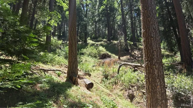 $4,990 | 987 Deer Run Road, Cedarpines Park, CA 92322