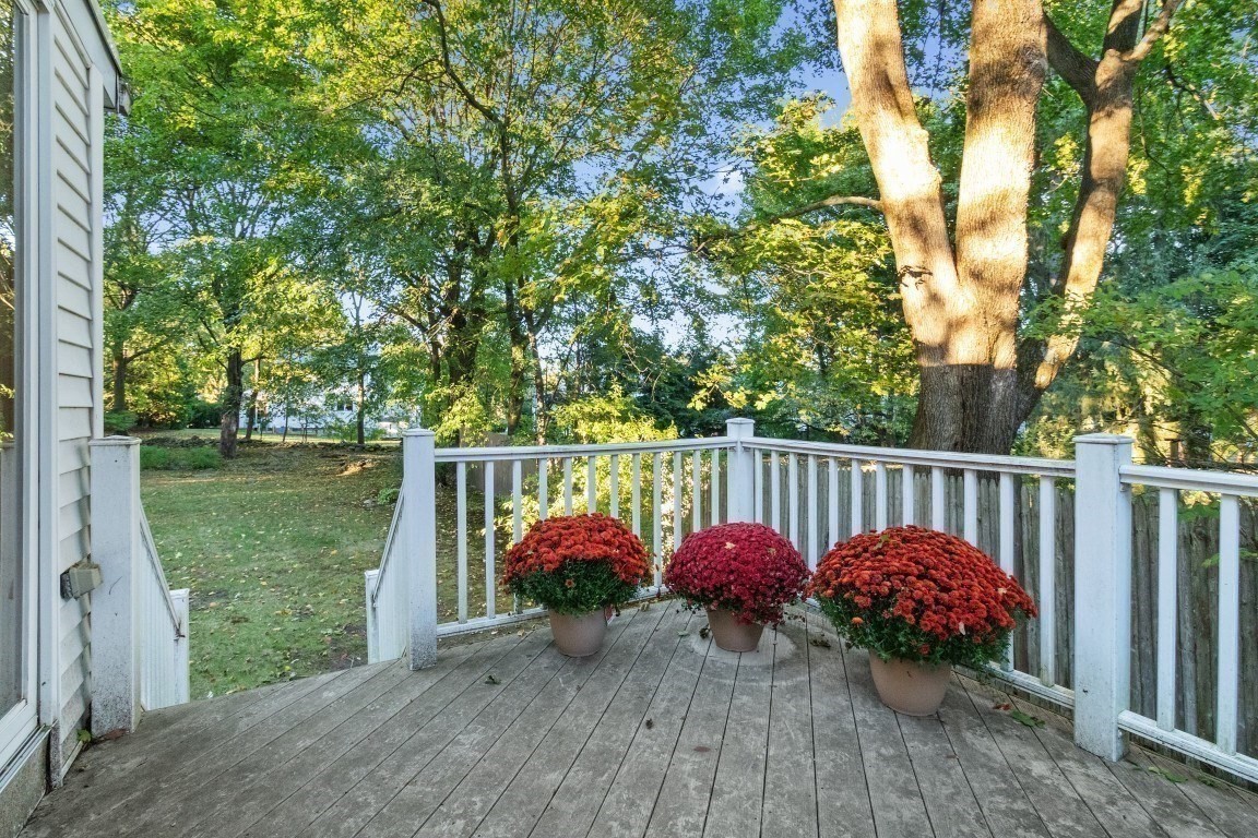 22 Roosevelt Road Newton, MA 02459 - Photo 12 of 24 Gallery Image 12