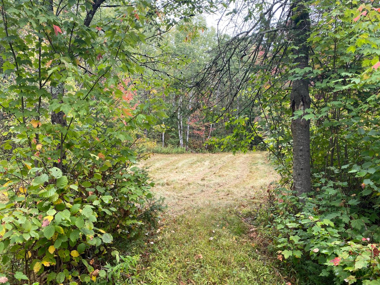 Off Coffee Creek Road Tomahawk, WI 54487 - Photo 18 of 50 Gallery Image 18