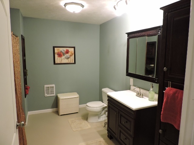 83 Willow Spout Road Fort Defiance, VA 24437 - Photo 28 of 48 a bathroom with a toilet sink and mirror