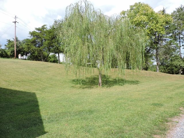 83 Willow Spout Road Fort Defiance, VA 24437 - Photo 42 of 48 a backyard of a house with lots of green space