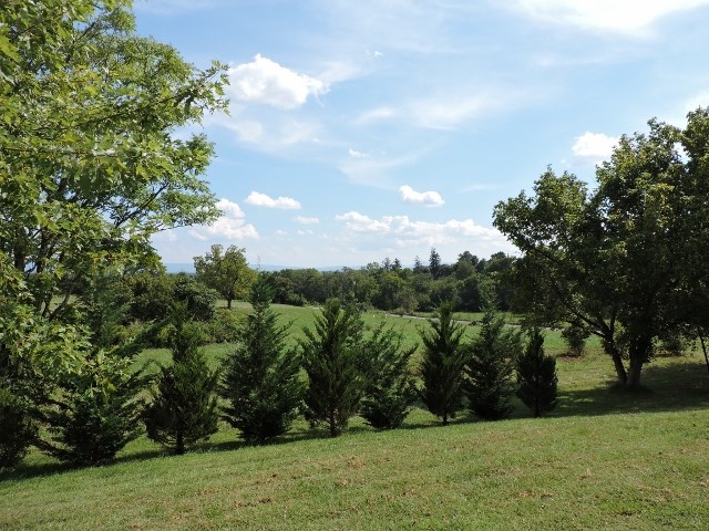 83 Willow Spout Road Fort Defiance, VA 24437 - Photo 47 of 48 a view of outdoor space and yard