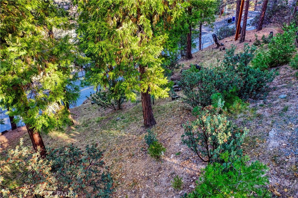863 Grass Valley Road Lake Arrowhead, CA 92352 - Photo 31 of 35