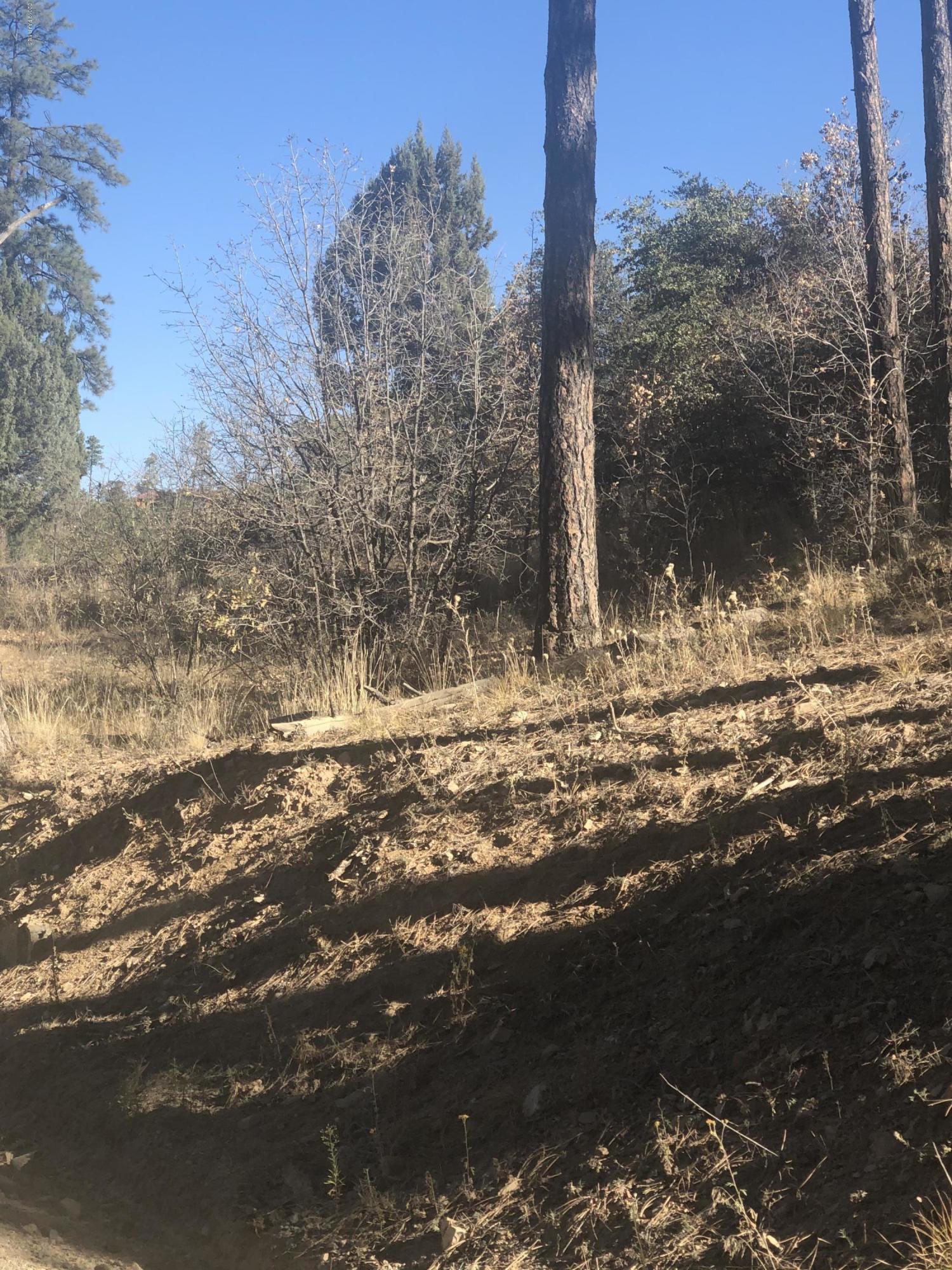 3605 West Copper Basin Road Prescott, AZ 86303 - Photo 9 of 23 View to lot
