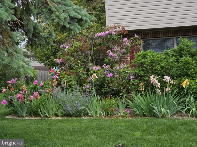 a view of a house with a backyard and garden