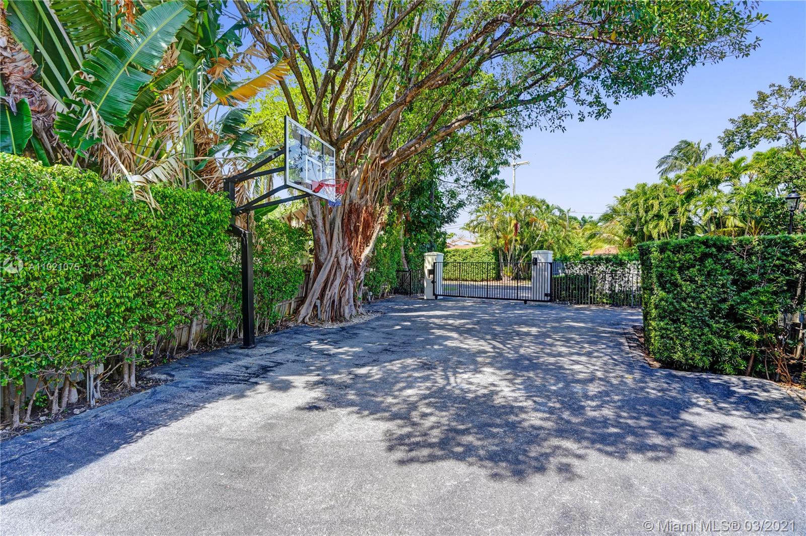 3014 Pine Tree Drive Miami Beach, FL 33140 - Photo 42 of 43 a view of a tree in front of a yard