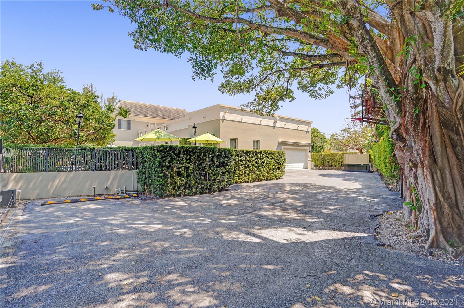 3014 Pine Tree Drive Miami Beach, FL 33140 - Photo 43 of 43 a view of a yard with plants and a large tree