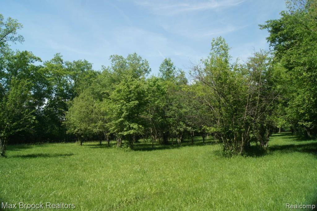 25675 Farmbrook Road Southfield, MI 48034 - Photo 22 of 58 2014-06-01 2014-06-01 001 041.jpg