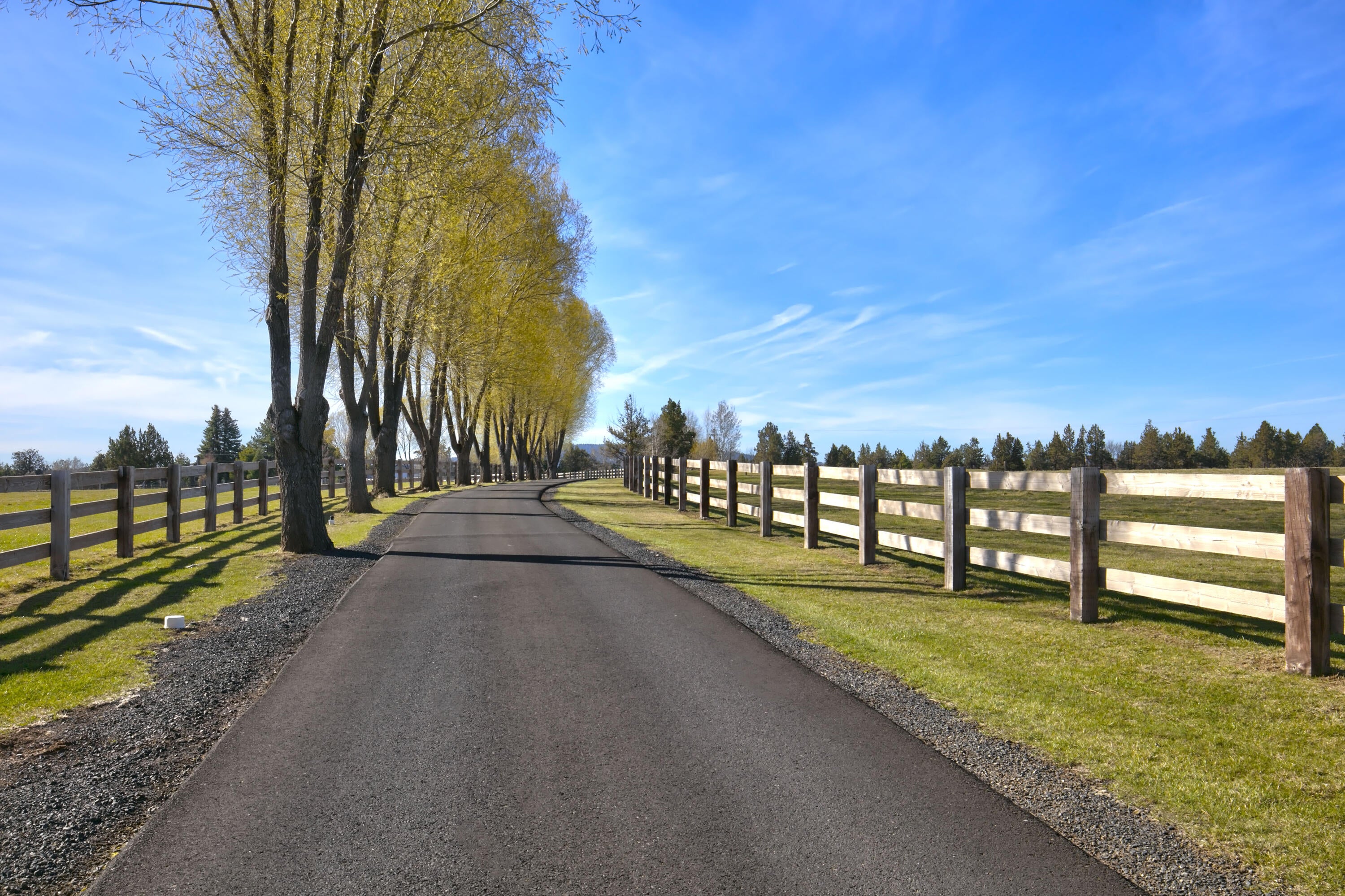 64440 Bailey Road Bend, OR 97703 - Photo 8 of 106 early Spring