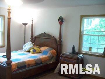 75 Parkwood Road Carbondale, IL 62903 - Photo 7 of 15 Gallery Image 7