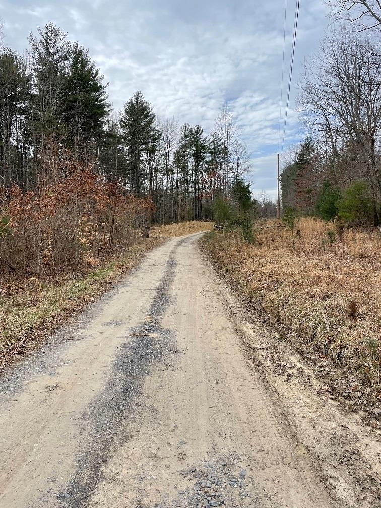 70-131 Estaline Valley Road Goshen, VA 24439 - Photo 6 of 8 a view of a yard with trees