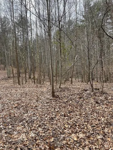 $215,000 | 70-131 Estaline Valley Road, Goshen, VA 24439