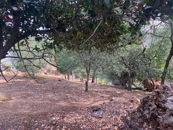 $21,500 | 4817 Pueblo Trail, Copperopolis, CA 95228