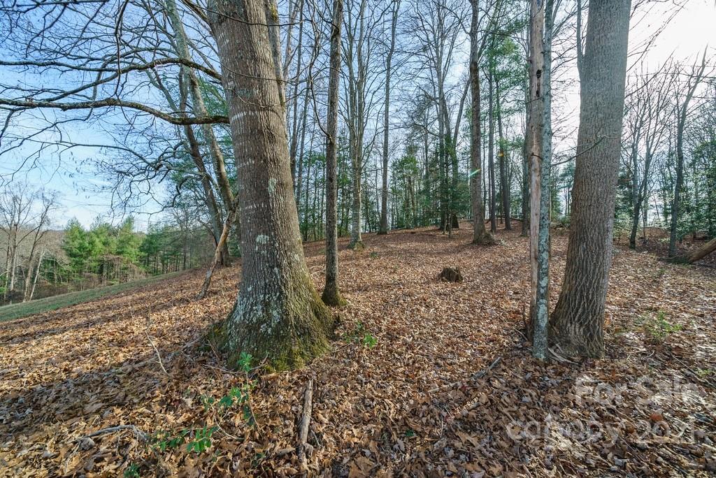 142 Boone Gap Road Boomer, NC 28606 - Photo 45 of 47 Gallery Image 45