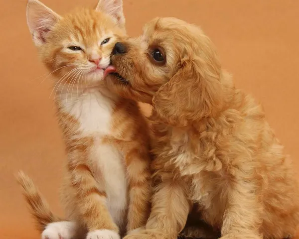 $1,987 | 96 Powers Street, Unit 194, Milford, NH 03055