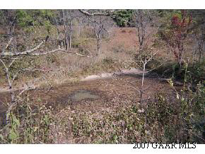 0 Davis Run Road McDowell, VA 24458 - Photo 3 of 3 Gallery Image 3
