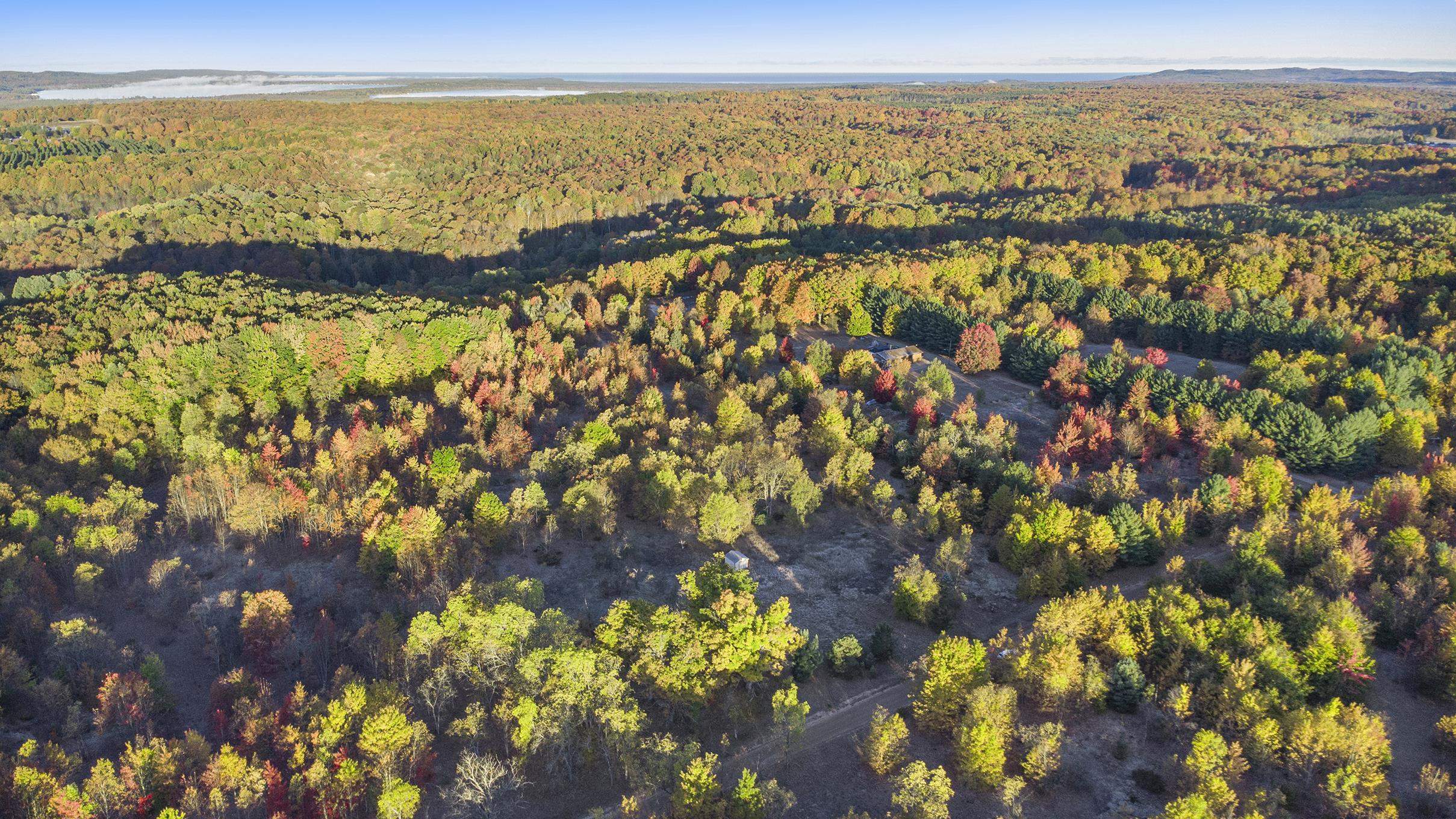 0 Pioneer Road Honor, MI 49640 - Photo 19 of 26
