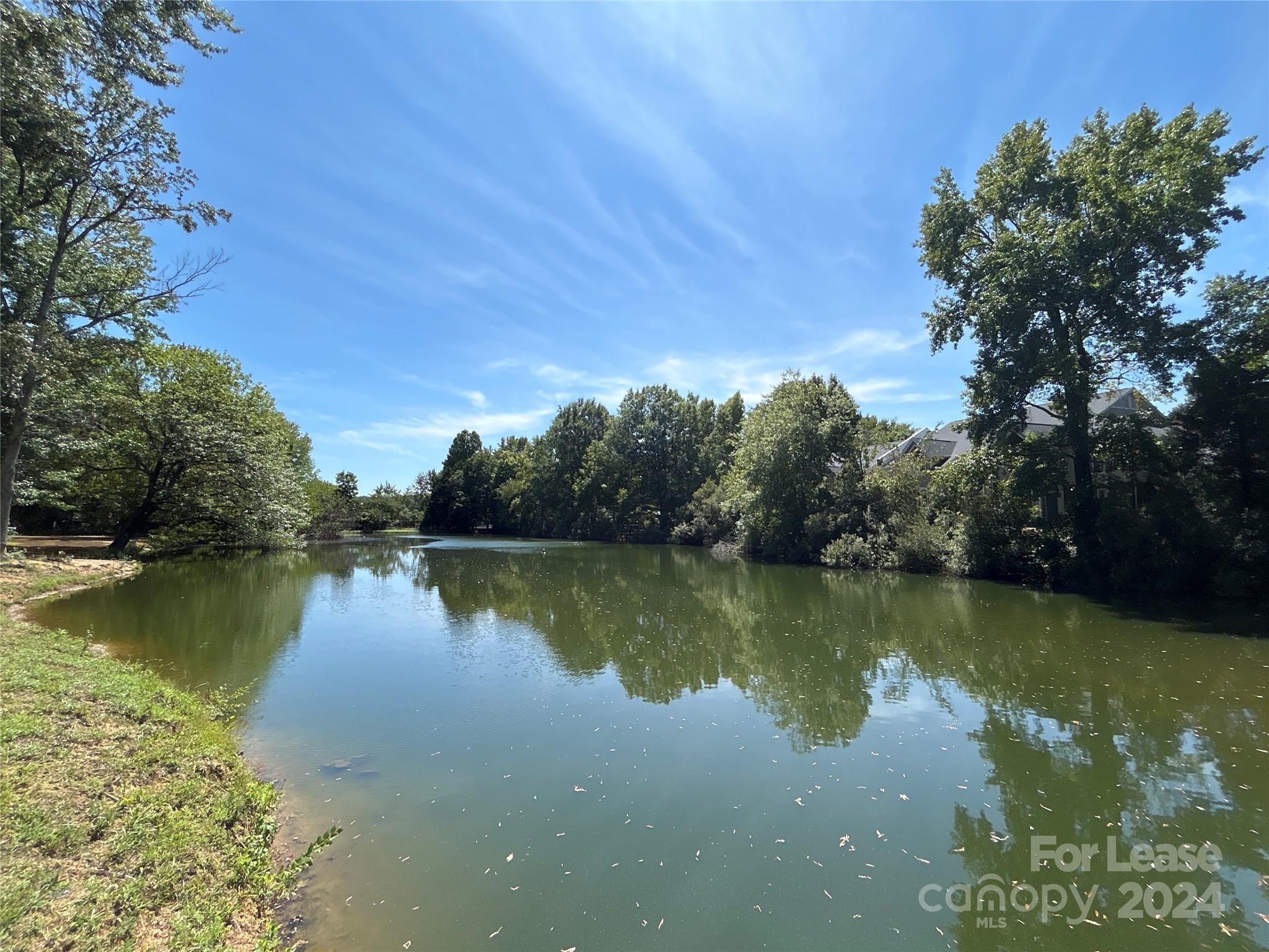 4804 Spring Lake Drive, Unit E Charlotte, NC 28212 - Photo 13 of 14