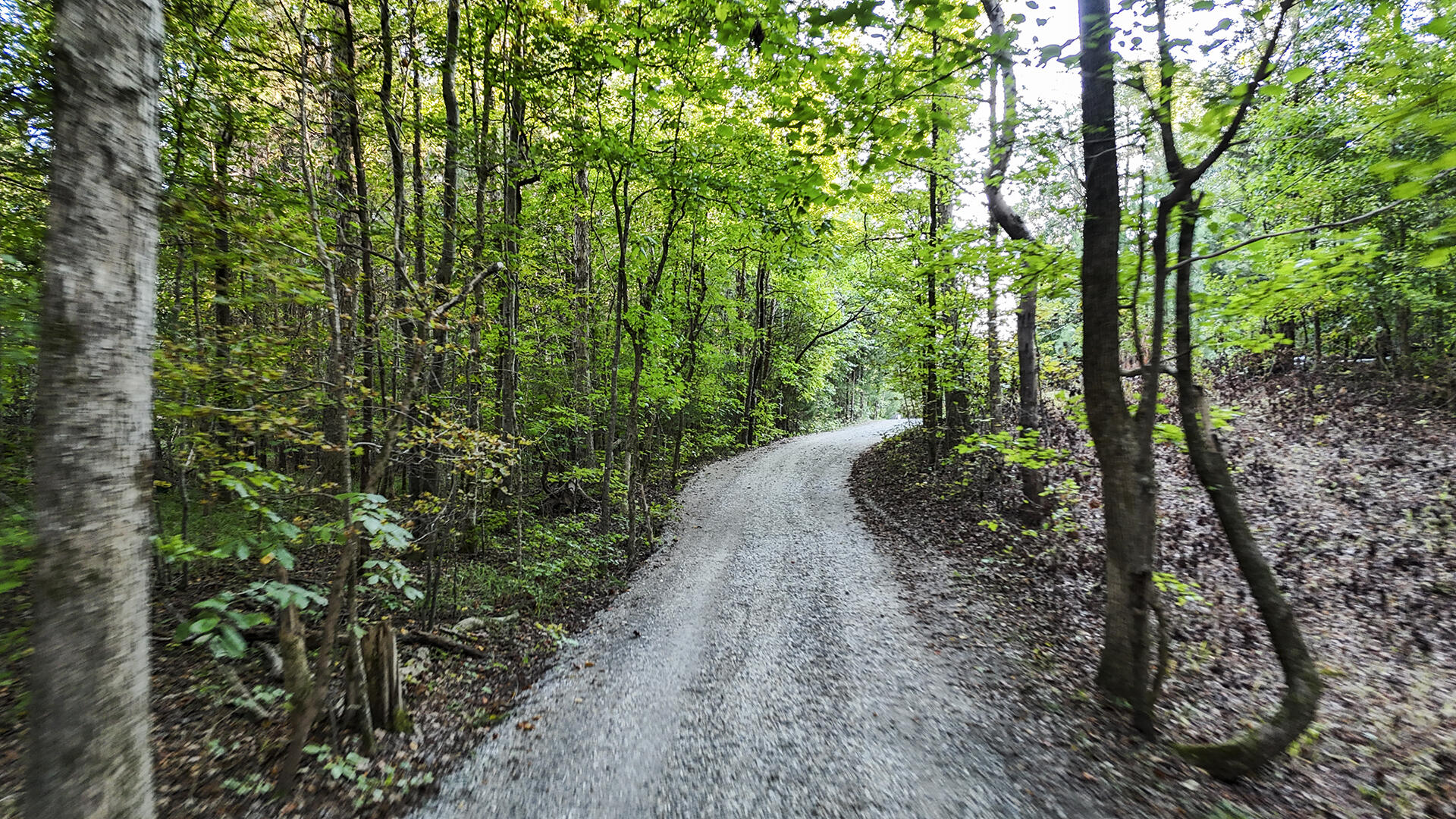 6207 Tallant Road McDonald, TN 37353 - Photo 51 of 53 KHP55