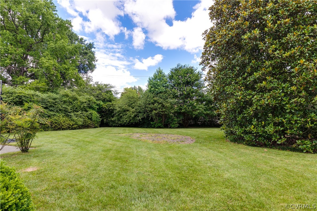 4104 Dover Road Richmond, VA 23221 - Photo 49 of 50 Rear yard