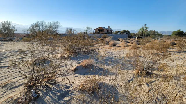 a view of a dry yard with trees and bushes