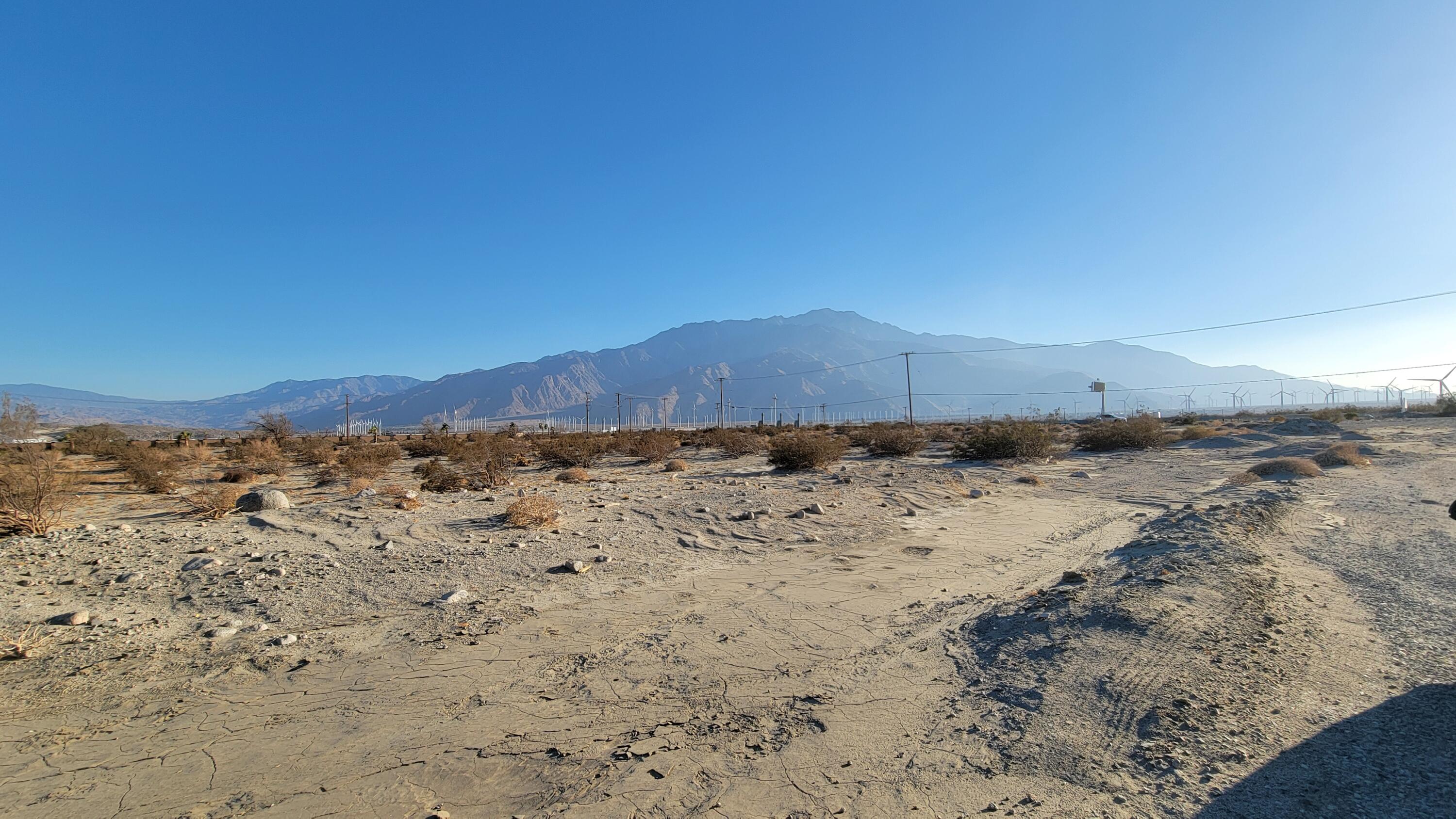 0 Tripepi Street North Palm Springs, CA 92258 - Photo 7 of 9 a view of a dry yard with mountains in the background