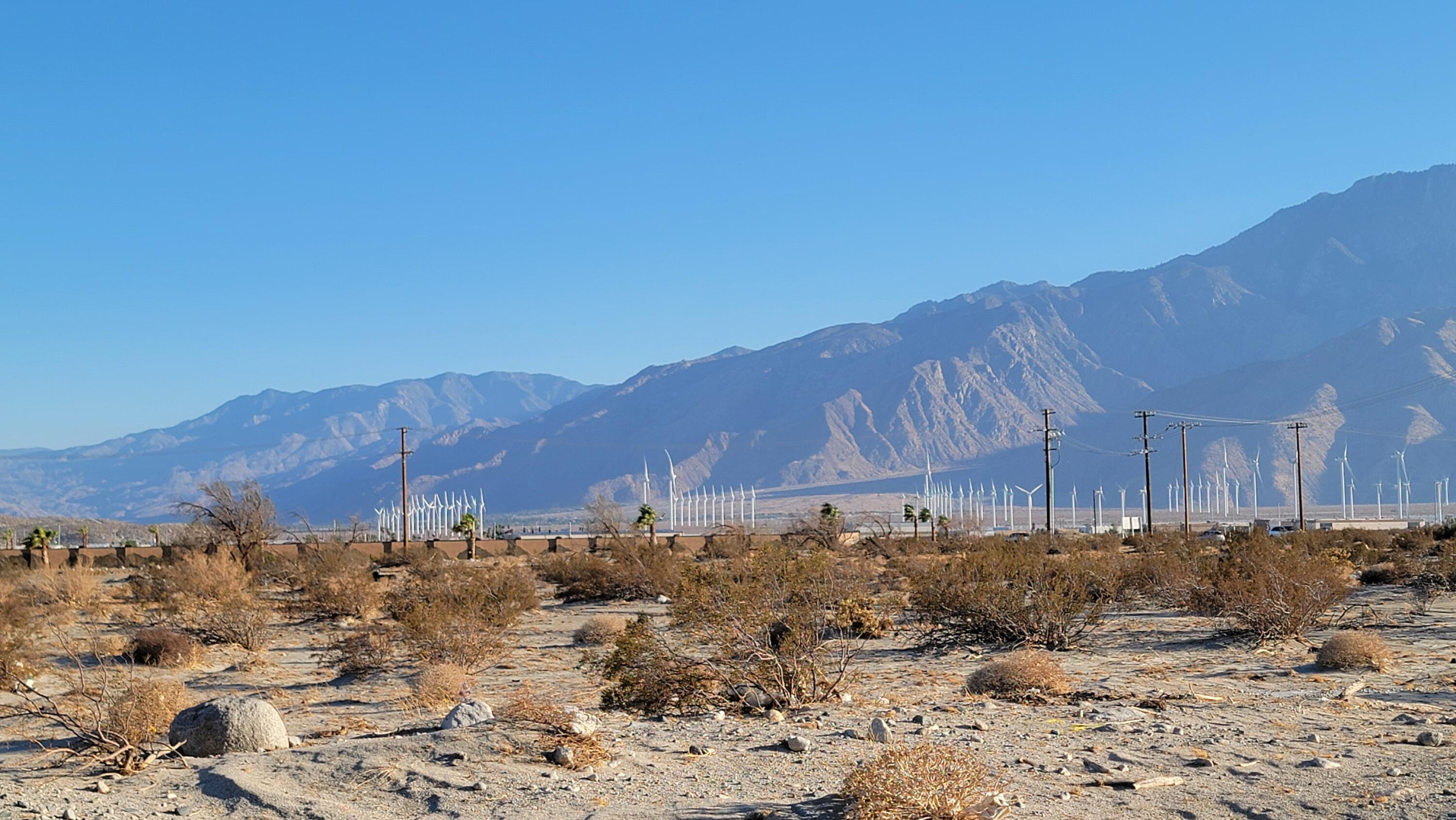 0 Tripepi Street North Palm Springs, CA 92258 - Photo 9 of 9 a view of a backyard