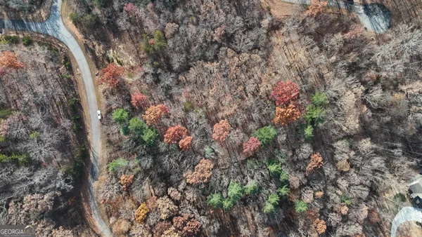 $160,000 | Lot 198 North Shore Drive, Cleveland, GA 30528