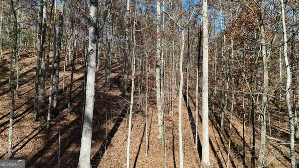 $160,000 | Lot 198 North Shore Drive, Cleveland, GA 30528