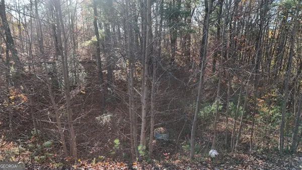 $160,000 | Lot 198 North Shore Drive, Cleveland, GA 30528