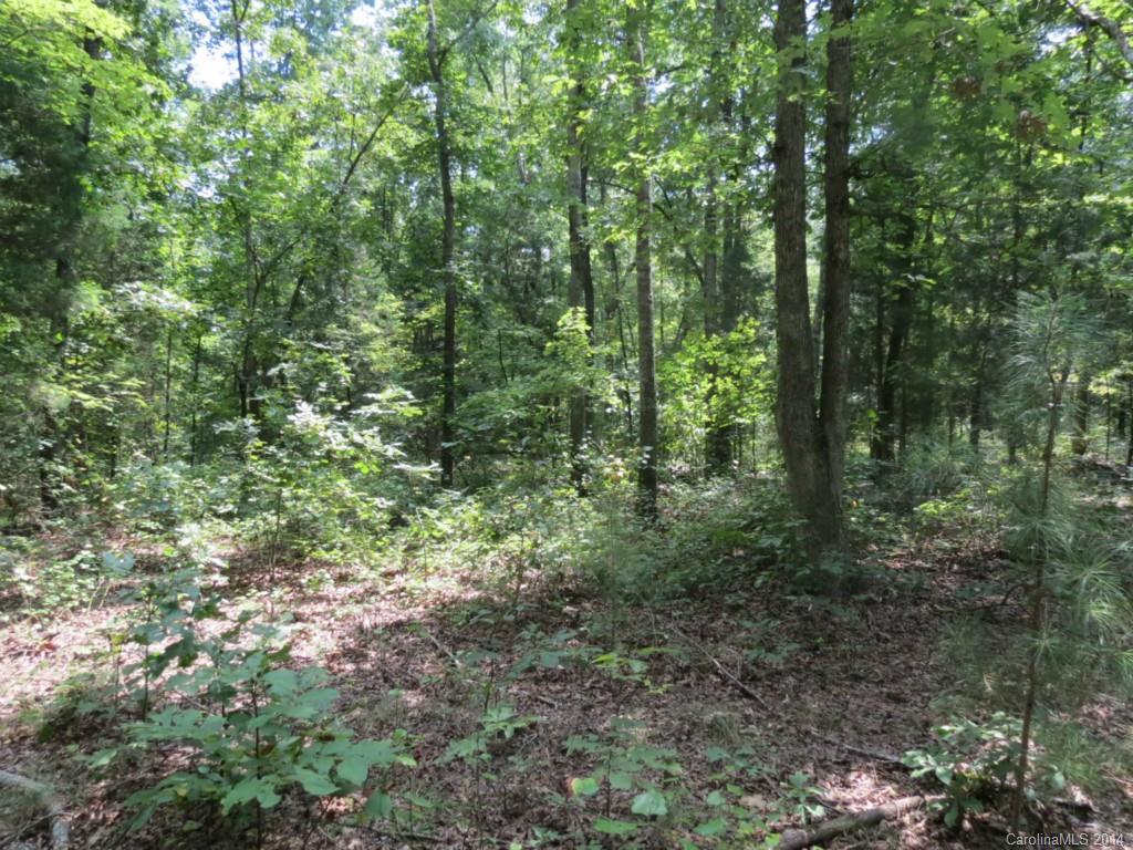 3 Griggs Road Clover, SC 29710 - Photo 5 of 13